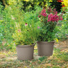 Plant pot Deroma 60 cm Taupe Injected Circular Ø 60 cm