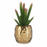 Decorative Plant Ceramic Golden Cactus Green Plastic 6 Units