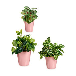 Set of pots Pink Clay (6 Units)