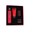 Women's Cosmetics Set Rituals 4 Pieces The Ritual of Ayurveda