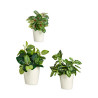 Set of pots White Clay (6 Units)