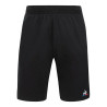 Sports Shorts Le coq sportif Black