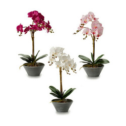 Decorative Plant Orchid 16 x 48 x 28 cm Plastic (4 Units)