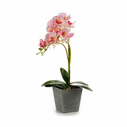 Decorative Plant Orchid Plastic 20 x 47 x 33 cm (4 Units)