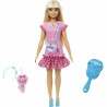 Doll Barbie HLL19