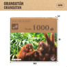 Puzzle Colorbaby Orangutan 6 Units 68 x 50 x 0,1 cm