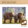 Puzzle Colorbaby Elephant 500 Pieces 6 Units 61 x 46 x 0,1 cm