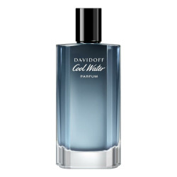 Men's Perfume Davidoff Cool Water 100 ml