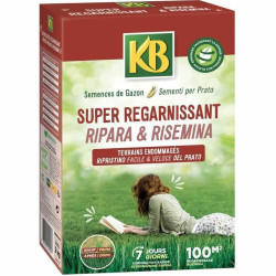 Seeds KB Kregfac100 Grass Fast 2 Kg 100 m²