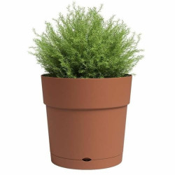 Plant pot Artevasi 49,5 x 49,5 x 49,5 cm