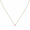 Ladies' Necklace Chiara Ferragni J19AUV06 38 - 40 cm