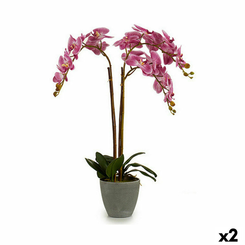 Decorative Plant Orchid Plastic 33 x 77 x 33 cm (2 Units)