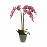 Decorative Plant Orchid Plastic 33 x 77 x 33 cm (2 Units)