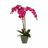 Decorative Plant Orchid Plastic 60 x 78 x 44 cm (2 Units)