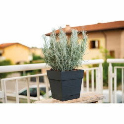 Plant pot Deroma Dark grey Ø 35 cm