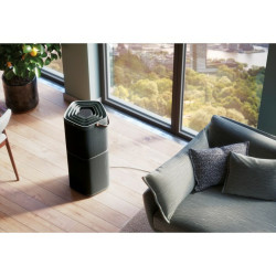 Humidifier Electrolux PA91-604DG Grey Dark grey 92 m²