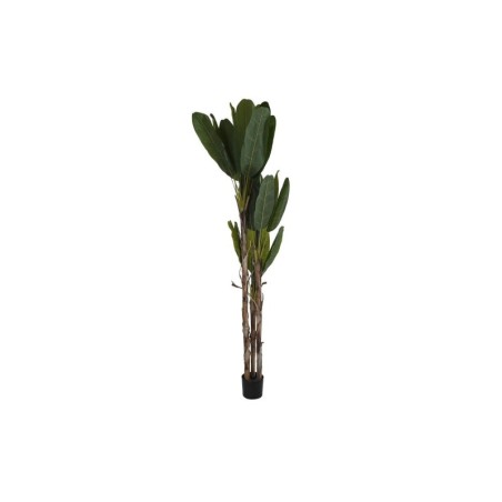 Decorative Plant DKD Home Decor Banana plant (90 x 90 x 250 cm)