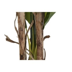 Decorative Plant DKD Home Decor Banana plant (90 x 90 x 250 cm)