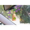 Car Air Freshener Paradise Scents Apple Wood