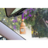 Car Air Freshener Paradise Scents Baby Wood