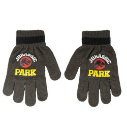 Gloves Jurassic Park Dark grey