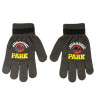 Gloves Jurassic Park Dark grey