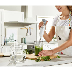 Hand-held Blender BOSCH MSM66110 600W Grey 600 W White/Grey