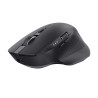 Mouse Trust 24820 Black 3200 DPI