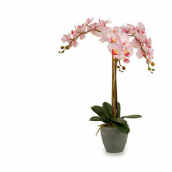 Decorative Plant Orchid Plastic 29 x 78 x 35 cm (2 Units)