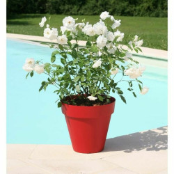 Plant pot Riviera Soleilla 60 x 54 cm Red Intense Circular Ø 60 x 53,6 cm