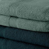 Towels Set TODAY 5 peacock + 5 cecidon 50 x 90 cm (10 Units)