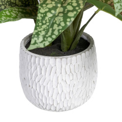 Decorative Plant Green PVC 52 x 44 x 44 cm