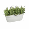 Hanging Planter Elho White Plastic 24 x 46 x 26,5 cm