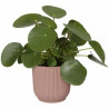 Plant pot Elho   Circular Pink Plastic