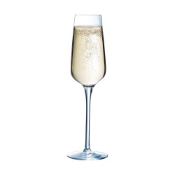 Champagne glass Chef & Sommelier 6 Units Transparent Glass (21 cl)