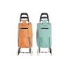 Shopping cart Home ESPRIT Green Grey Peach 37 L 34 x 20 x 96 cm (2 Units)