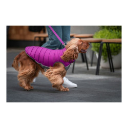 Dog Coat Red Dingo Puffer Pink/Purple 40 cm