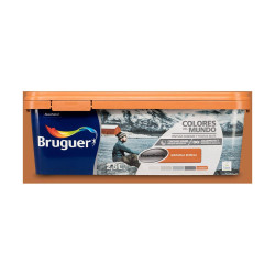 Plastic paint Bruguer Boreal Contrast 2,5 L Orange