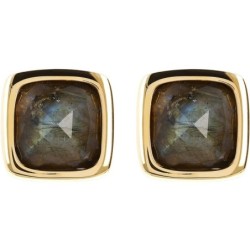 Ladies' Earrings Etrusca WSET00397YG