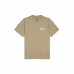 T-shirt Dickies Kerby Brown Men