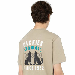 T-shirt Dickies Kerby Brown Men