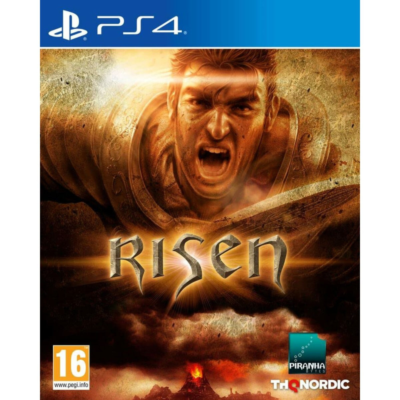 PlayStation 4 Video Game THQ Nordic Risen