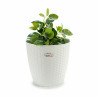 Planter Stefanplast White Plastic 29 x 27 x 29 cm (6 Units)