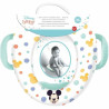 Toilet Seat Reduce for Babies ThermoBaby Mickey