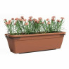 Plant pot Artevasi 60 x 20 x 17,3 cm Terracotta Plastic Rectangular