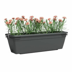 Plant pot Artevasi 60 x 20 x 17,3 cm Anthracite