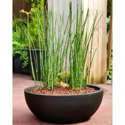 Plant pot Riviera RIVIERA Black Ø 40 cm