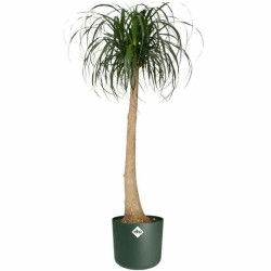 Plant pot Elho   Ø 25 cm Green Plastic Circular