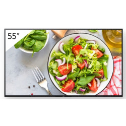 Television Videowall Sony FW-55BZ35L 55" VA 4K Ultra HD