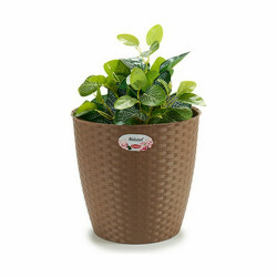 Planter Stefanplast Brown Plastic 29 x 27 x 29 cm (6 Units)